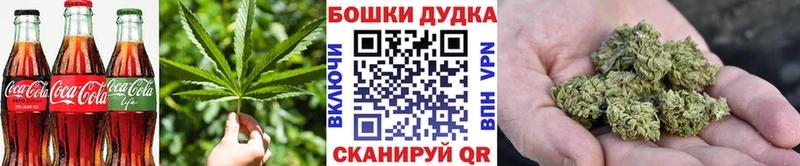 Canna-Cookies конопля  продажа наркотиков  Поворино 