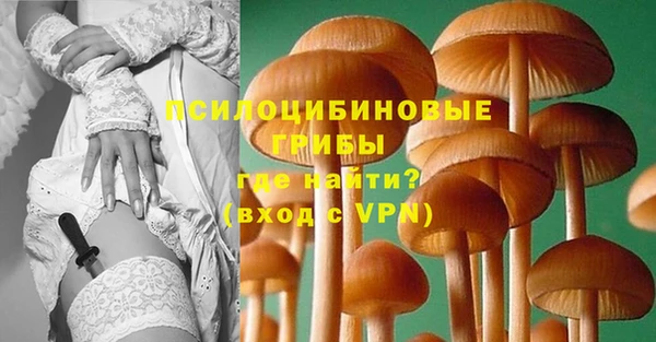 спиды Навашино